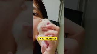 Sweet hamster #ytshorts