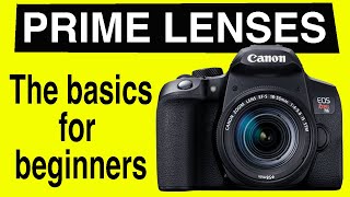 A beginner guide to Prime Vs Zoom lenses with PHOTO GENIUS