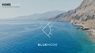 BlueMore...!!!