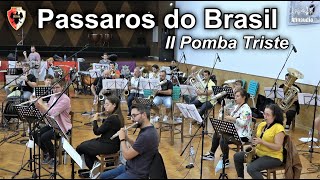 Passaros do Brasil: II. Pomba Triste - Kees Vlak - União Seixalense