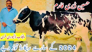 Hussain Dairy Farm ||Record Broken Video ||Top Class Australian Cholistani Cows ||Red Fresian Cows