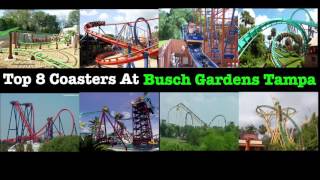 Top 8 Coasters At Busch Gardens Tampa *OUTDATED*