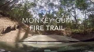 Monkey Gum Firetrail Teaser