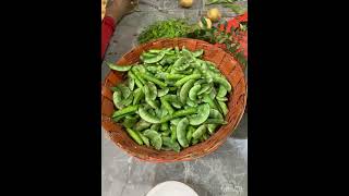 Traditional Popati in Kokan