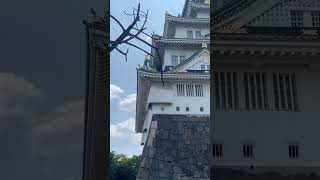 Osaka Castle #japan #travel #travelvlog #vlog #japanese #japanesecastle #landmark