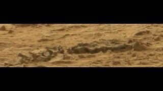 Spine found on Mars?