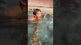 Kid swim with hundreds of Nile crocodile