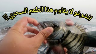 عيشوا معي لحظات المتعة و التشويق أثناء الصراع مع الشرغو العنيد💥 🎣🎣