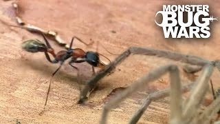 Epic Ant Battles #2 | MONSTER BUG WARS