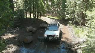 Cruising through the Stanislaus National Forest (ext. Ver)