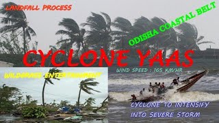 Cyclone Yaas| Odisha faces a severe cyclonic storm|Wildgrass Entertainment| Cyclone 2021