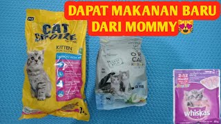 CAT CHOIZE SALMON WITH MILK‼️ MAKANAN BARU MONA🐈| BIASANYA MAKAN ORI CAT CAMPUR WHISKAS‼️ YUMMY...