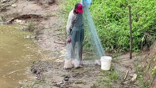 ഒന്നു വല വീശാന്‍ പോയത കിട്ടിയ മീനെ കണ്ടോ 😛! Cast net fishing  - traditional net fishing on river