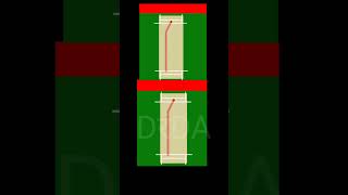 Chinaman or Left arm Unorthodox  | Turn, spin, rotation | Kuldeep Yadav Paun Adams