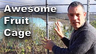 This Awesome Cage Stops Birds Stealing Your Soft Fruit!