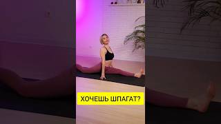 Самый популярный канал по йоге! Подпишись и занимайся йогой дома ✨️