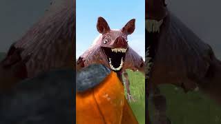 SIZE COMPARISON NEW ZOOCHOSIS ANIMALS MUTATED in Garry's Mod!