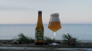 Ribenniz - Brasserie de la Senne x Brouwerij de Ranke - OELELSKER