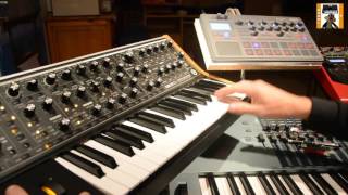 Moog sub 37 / electribe 2 (graal7)