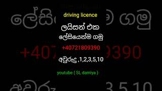 ලයිසන් එක | international driving licence #sldamiya