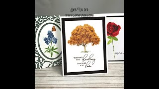 Learn the Basics Kitchen Sink Stamps with Deb Valder