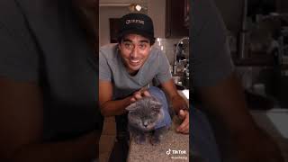 zach king top 5 videos #tiktok #zachking #compilation