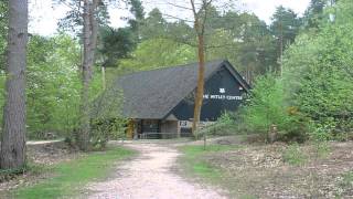 The Witley centre Godalming Surrey