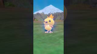 Evolving SHINY Torchic into Shiny Combusken on Pokemon Scarlet Violet #shiny #shinypokemon