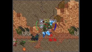 Tibia War Killas Infalible 738 PVP FRAG