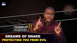 Dream Of Snake Protecting You From Evil - Biblical Meaning of Serpent