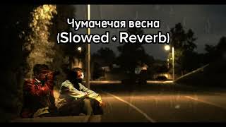 Чумачечая весная (slowed + reverb)