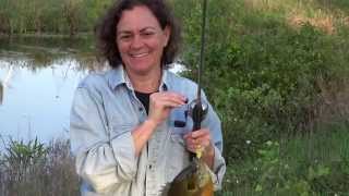 150404 BR Yvette catching bluegill perch