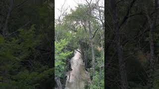 Chisholm Trail in Plano, #shorts #youtubeshorts #fyp #trail #hiking #usa #texas #india #ytshorts