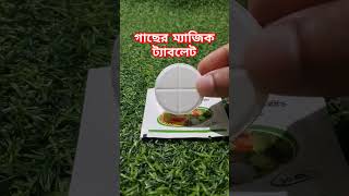 গাছের জন্য ম্যাজিক ট্যাবোলেট। GA-3 magic tablet for plants