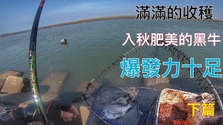 磯釣 黑牛 白牛 瞬間爆發力 切水聲 下篇