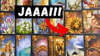 Widder Mai: Auf Erfolgskurs?  | Tarot Kartenlegen