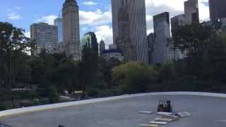 New York - Central Park - прогулка