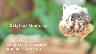 Electone