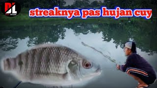 mancing ikan || mancing ikan di rawa streaknya pas hujan || @didinlampar751 31 Oktober 2021