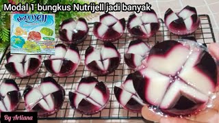 IDE JUALAN VIRAL || PUDDING SUSU MEKAR, Versi Buah Naga, Super Segar ~ @arlianachannel8416