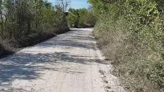 Strade Bianche