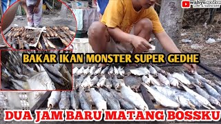 BEGINI JIKA IKAN BESAR LANGSUNG DIBAKAR PAKAI ASAP || BUTUH WAKTU LAMA UNTUK MATANG !! BAKAR IKAN