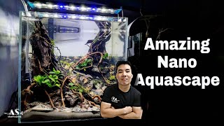 Amazing Mini Forest in Nano Aquascape | 30cm Cube tank | 30cm水槽