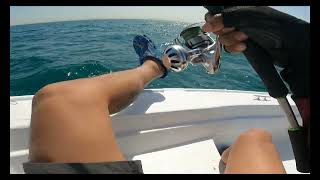 KING FISH off shore with Shimano Stradic 2500