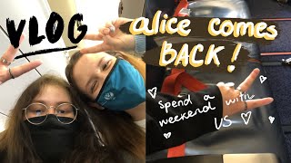 Spend the weekend with us: Alice comes back!