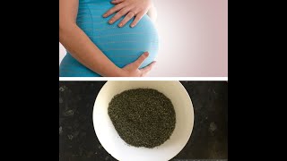 Khibradeyda marjoram ee uurka - My experience with marjoram for pregnancy - تجربتي مع البردقوش للحمل