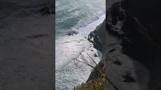 Beautiful waves #newzealand #ytshorts #viralshort #beachsand