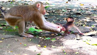 How Best This Lovable Mother Takes Beloved Baby, Sarika Blocks Baby For Safety