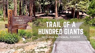 Trail of a Hundred Giants