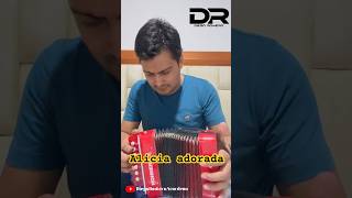 Alicia adorada - Cover mini acordeón - Diego Romero Acordeón #diegoromeroacordeon